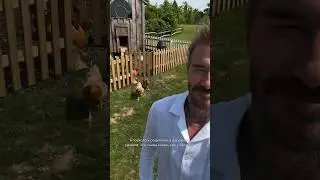 Как у Бэкхема, получается 🐔