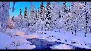 Зима 2022 / Зимний лес / Сказка в зимнем лесу