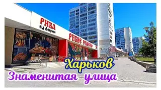 🏫 ХАРЬКОВ ~ ЗНАМЕНИТАЯ УЛИЦА / ПАВЛОВО ПОЛЕ ~ KHARKIV ~ FAMOUS STREET / PAVLOVO POLE