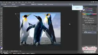 adobe photoshop how to use crop and slice tools demo