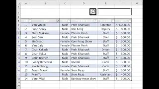 How to Build a Real-Time Data Search Box in Excel with Excel VBA