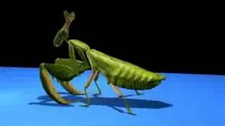 Praying Mantis Character Rig Test