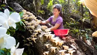 Harvest Wild Mushroom in the Forest Goes to market sell - Weeding the farm | Nhất New Life