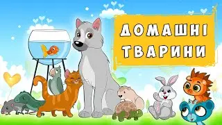 Цікаві факти про домашніх улюбленців 🐾 для дітей українською мовою 🐈