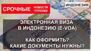 ВИЗА В ИНДОНЕЗИЮ| Оформление электронной визы на Бали. Какие документы, как оформить?