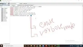 Package Installl through RPM