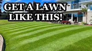 First steps to FIX YOUR LAWN