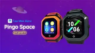 The Pingo Space Watch