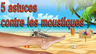 Top 5 des astuces pour se débarrasser des moustiques naturellement.