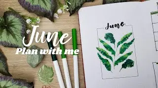 June 2021 Bullet Journal Plan with Me I Plant Theme