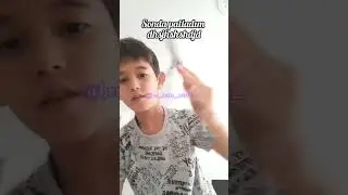 Kelebek Tarak