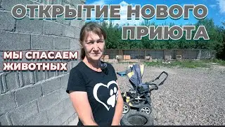 Приют для собак. Добрые поступки/ история спасения животных