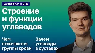 2.16. Функции углеводов | Цитология к ЕГЭ | Георгий Мишуровский