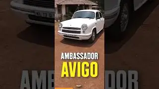 HM Ambassador AVIGO | A Rare Ambassador #shorts #ambassador #nostalgia #cars #classic #india #cars24