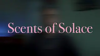 Scents of Calm & Solace