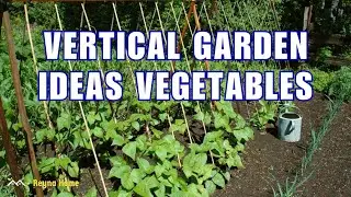 Creative Vertical Vegetable Garden Designs Space-Saving Solutions Vertical Garden Ideas Diy