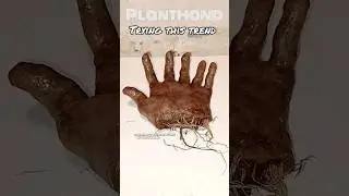 plant hand wont follow directions.