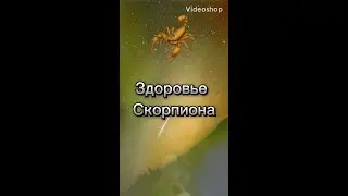 Гороскоп. Астрологический прогноз. Скорпион. Знаки зодиака.Shorts. Астрология.