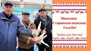 ,,  Голуби из Детства    -  Макеевка .