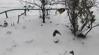 WINTER IN SIBERIA 4