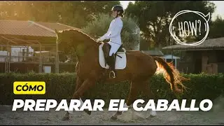 Aprende a preparar un caballo en 2 minutos | 💡EQUITIPS💡