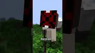 Minecraft'ın En Sevilen Hayvanı Nedir?