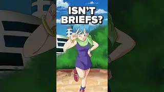 she ISN’T Bulma Briefs