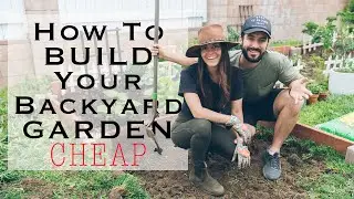 5 Cheap DIY Home Garden Tips to Grow Your Own Vegetables