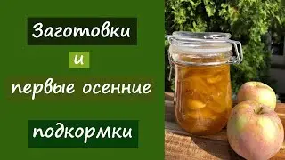 Делаем заготовки и первые осенние подкормки
