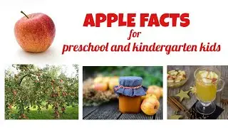 Learn about Apple #preschool #kindergarten #kids