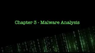 [Chapter 3] Malware Analysis