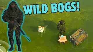 WHAT LOOT WILL YOU GET FROM THE SWAMPS! WILD BOGS | Last Day On Earth: Survival