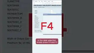 Quickly insert current date in SAP GUI 