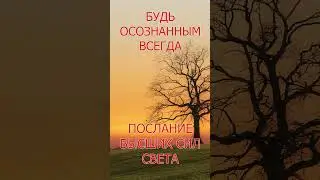 БУДЬ ОСОЗНАННЫМ ВСЕГДА #shorts Ирина Белова