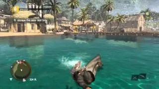 Assassin's Creed IV: Black Flag - Imagine My Surprise: Escape, Become Anonymous (Swim Stealth)