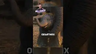 Слон-мутант выступает в цирке😱 