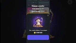 ПОКАЗАЛ НОВЫЕ КОМБО КАРТОЧКИ В ХОМЯКЕ! HAMSTER KOMBAT COMBO #hamsterkombat  #crypto #рек #комбо