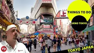 Things to do in Ueno Tokyo | Tour Japan