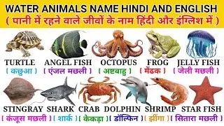 Water Animals Name in English & Hindi | water animals | जल जीवों के नाम | sea animals