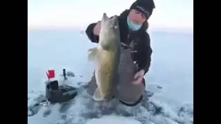 OMG!! Look This Women - Get Fish in Ice Fishing