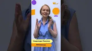 Учителя Фоксфорда — школьникам, пожелания к 1 сентября