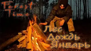 Дождливая январская ночь в лесу ! Идём в поход !