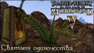 Morrowind Tamriel Rebuilt - Святилище Одиночества, 