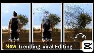 Edit Particles Disappear Video Editing  In Capcut