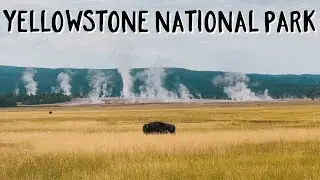 Beyond Expectations: Uncovering Yellowstone's Magic | Solo Female RV Travel Vlog