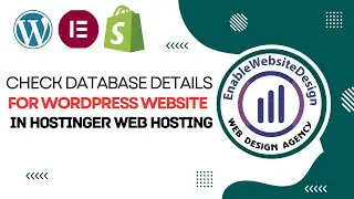 How to check database details for a wordpress website in hostinger web hosting panel