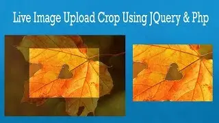 Live Image Upload Crop using jQuery and PHP || symfony tutorial