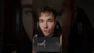 Повезло, что они встретили это не ночью😰