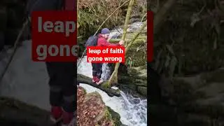 leap of faith gone wrong #usa #youtube #funny #tiktok #uk #animals #comedy #woodskills #walking