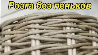 Чистая Розга. Загибка Розга без,, Пеньков,,